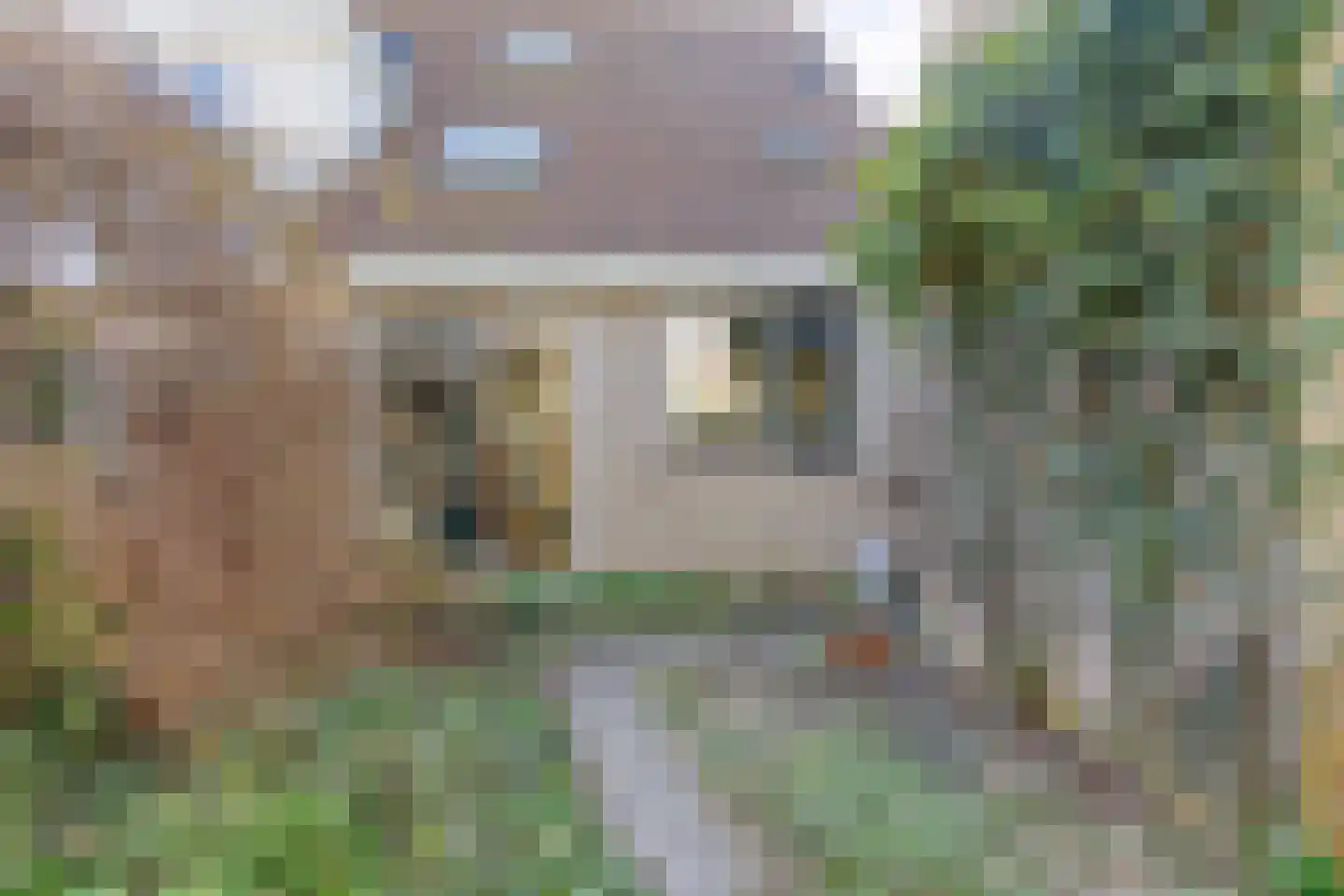 Mieriksveld 18 Schiedam thumbnail 30