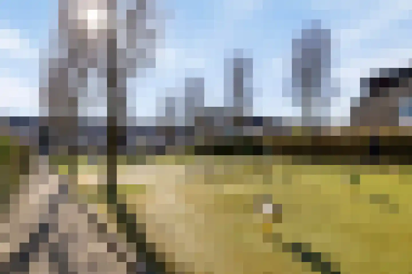 Mieriksveld 18 Schiedam thumbnail 34