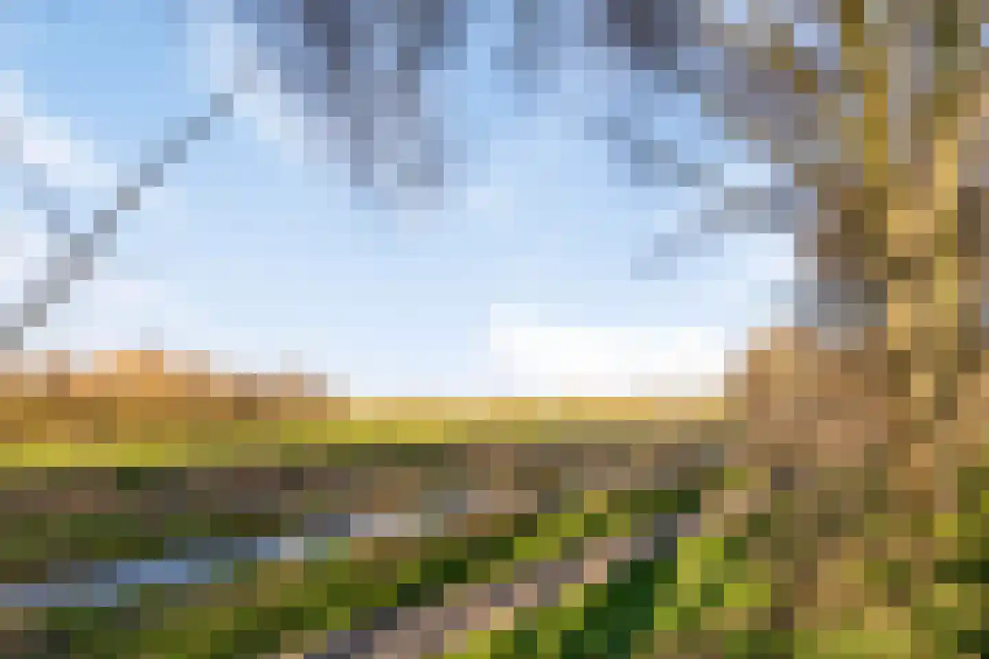Mieriksveld 18 Schiedam thumbnail 36