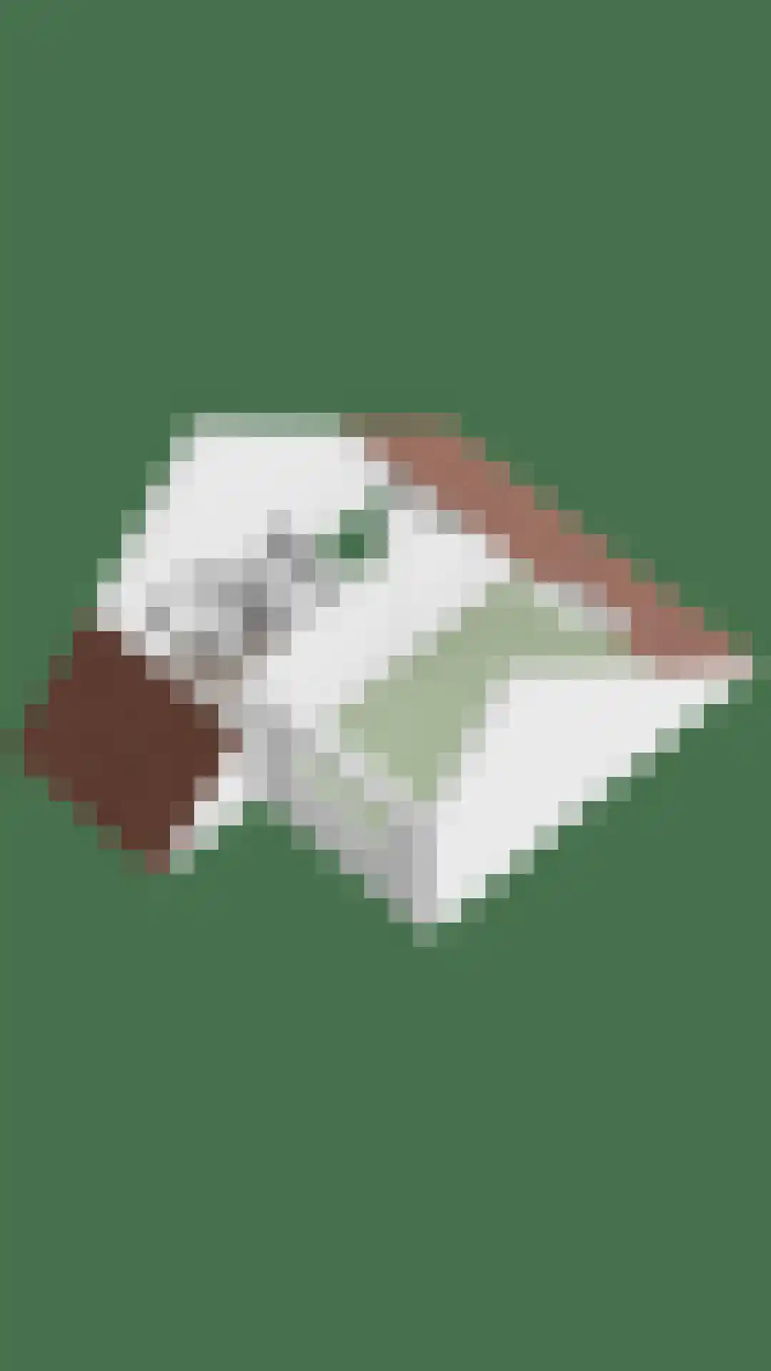 Mieriksveld 18 Schiedam thumbnail 48