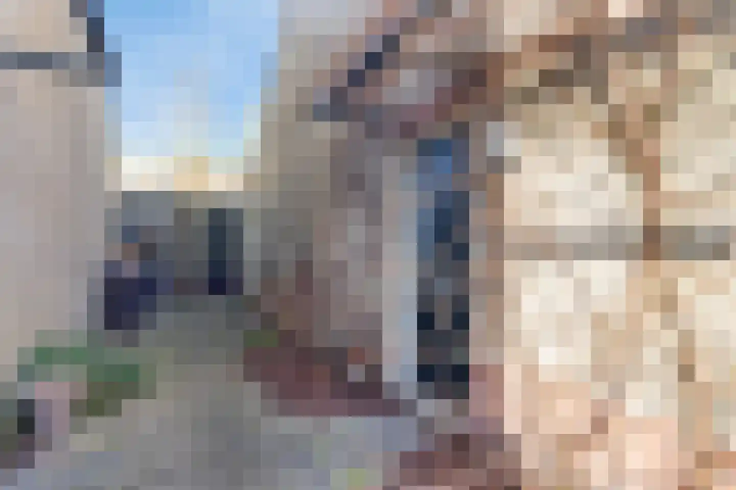 Mieriksveld 18 Schiedam thumbnail 5