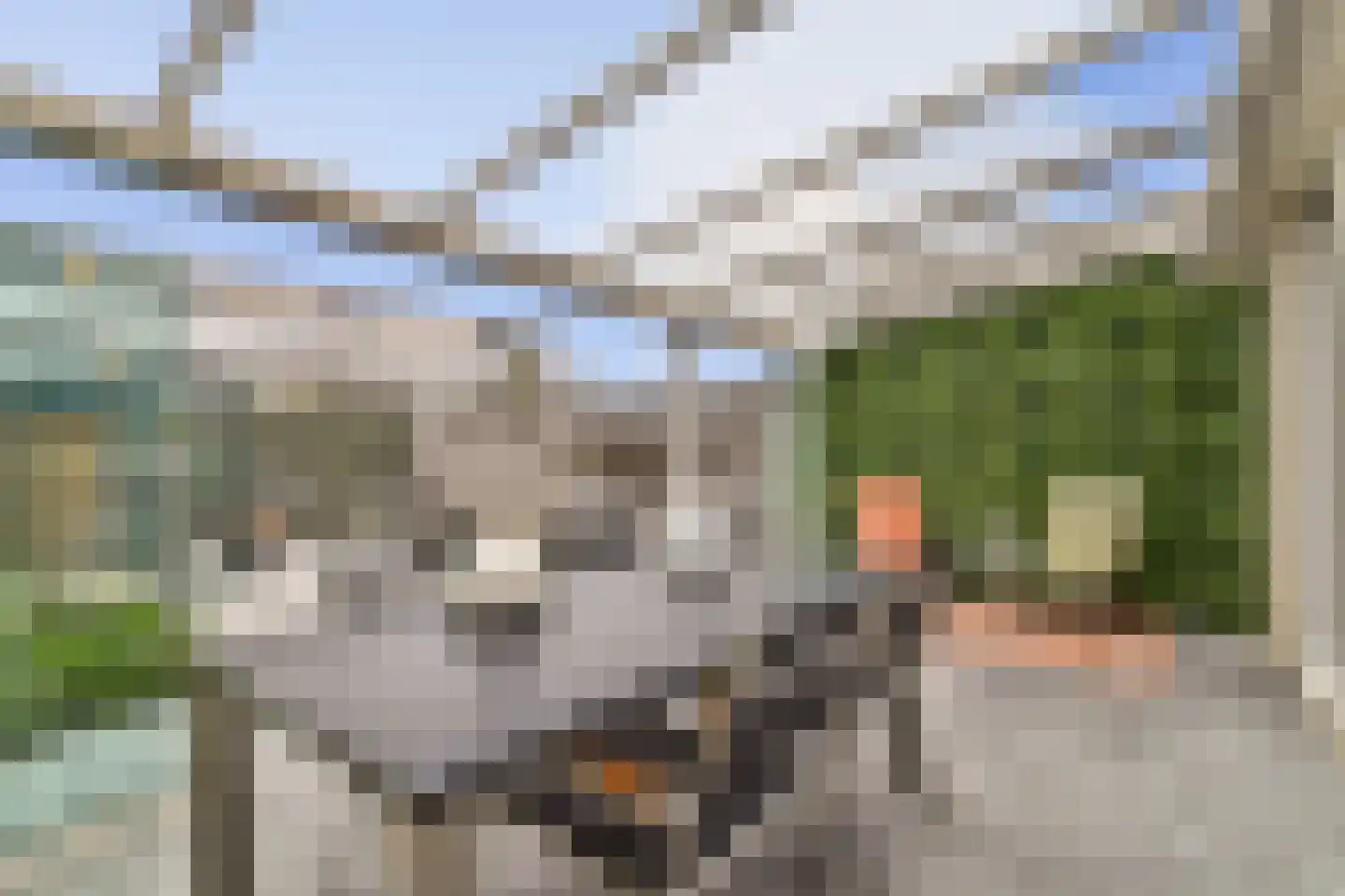 Mieriksveld 21 Schiedam thumbnail 14