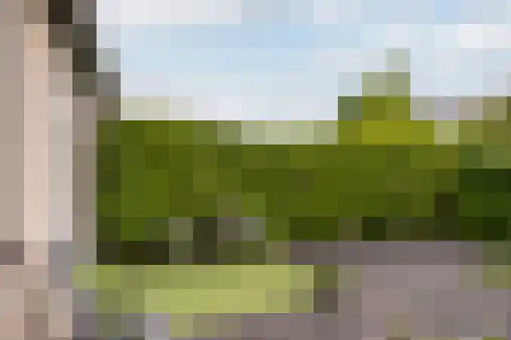 Mieriksveld 8 Schiedam thumbnail 15