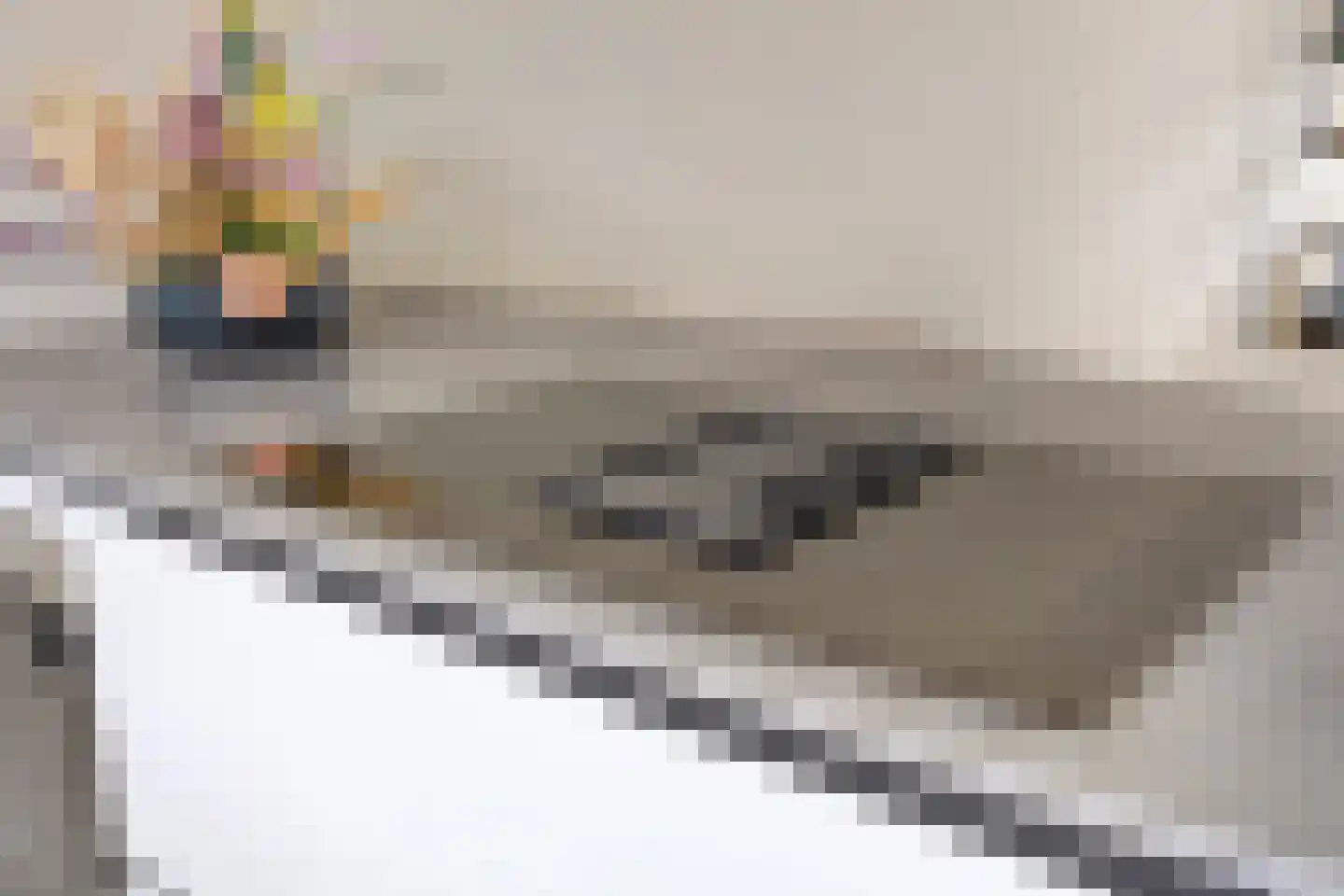 Mierikswortel 28 Roelofarendsveen thumbnail 12