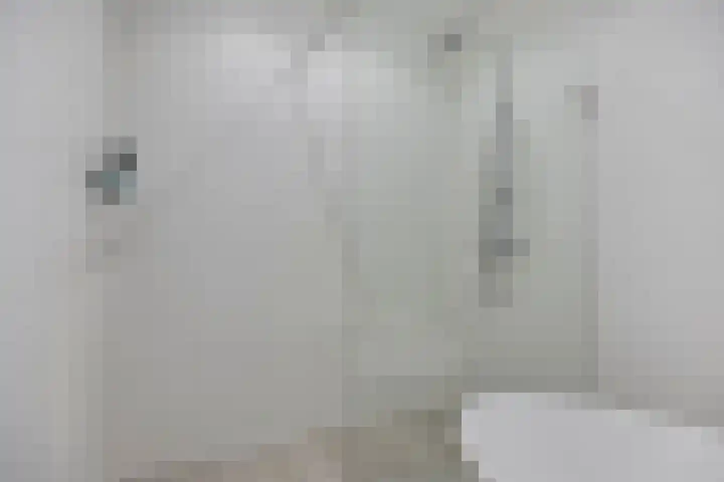 Mierikswortel 28 Roelofarendsveen thumbnail 23