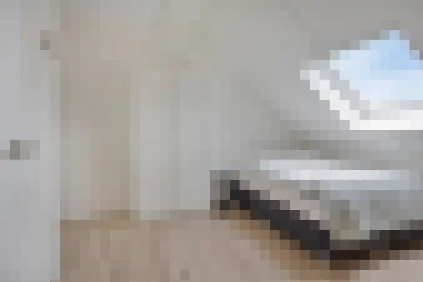 Mierikswortel 28 Roelofarendsveen thumbnail 25