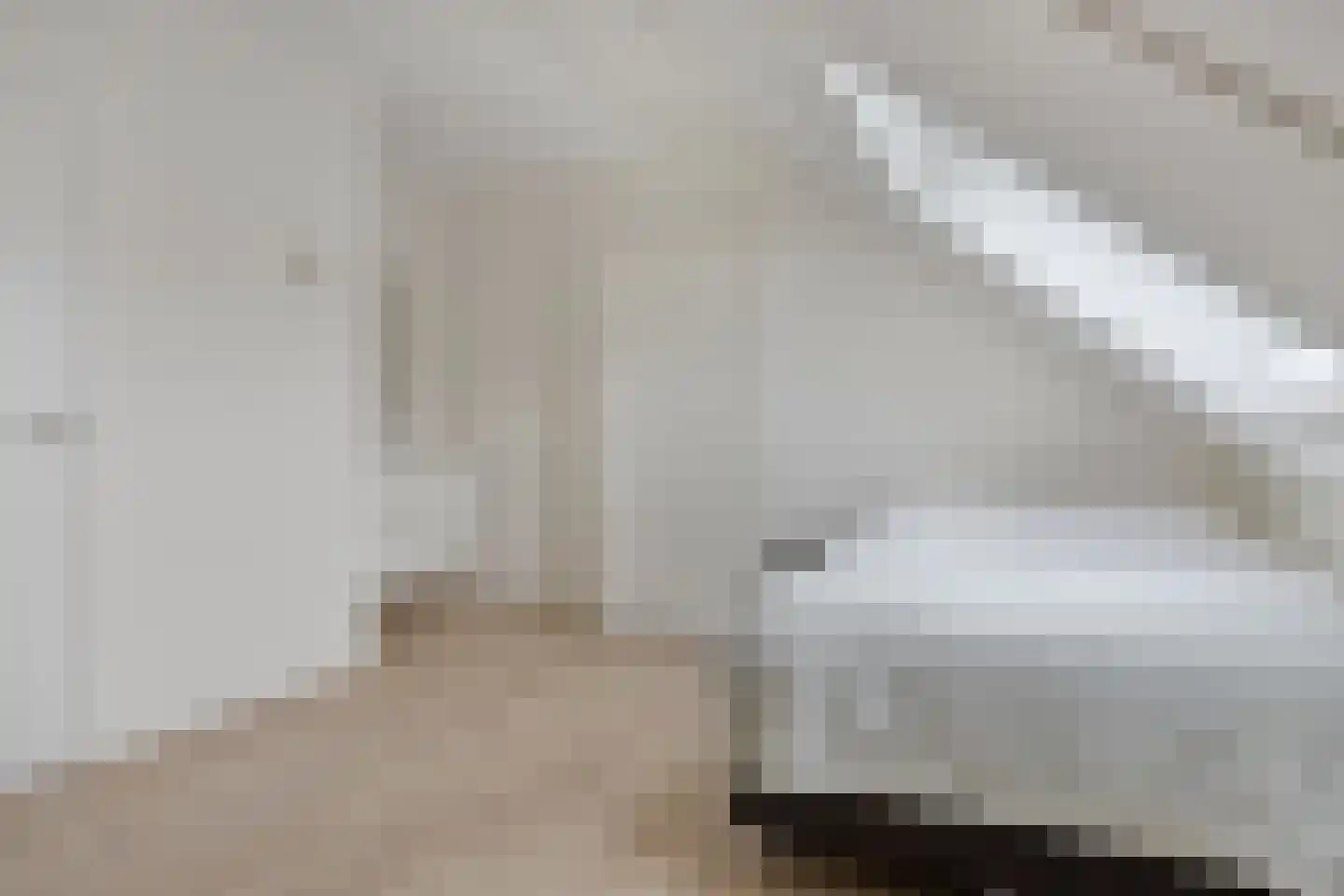 Mierikswortel 28 Roelofarendsveen thumbnail 26