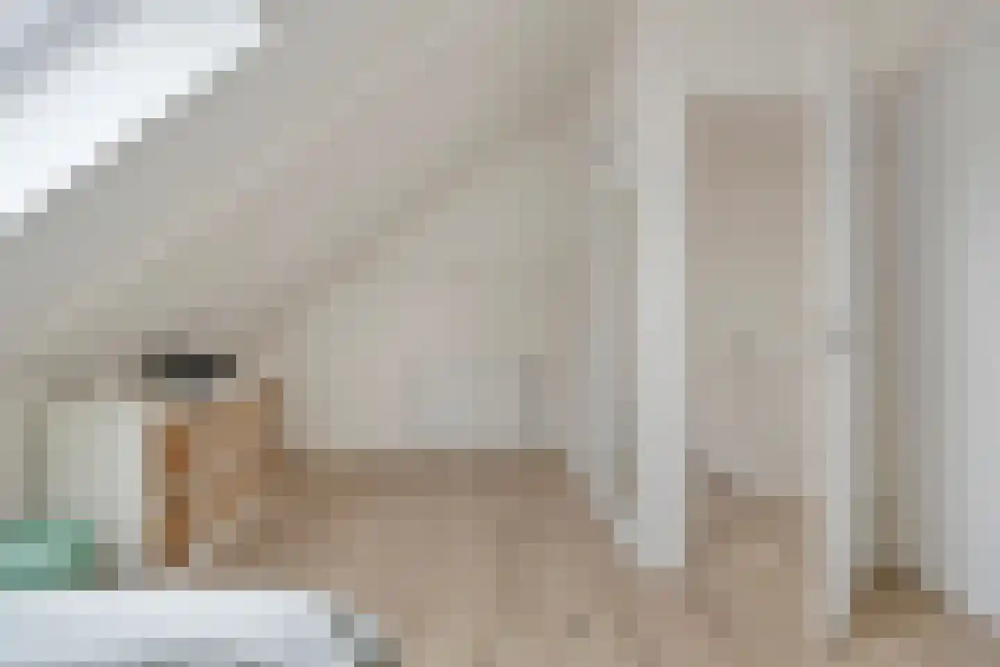 Mierikswortel 28 Roelofarendsveen thumbnail 27