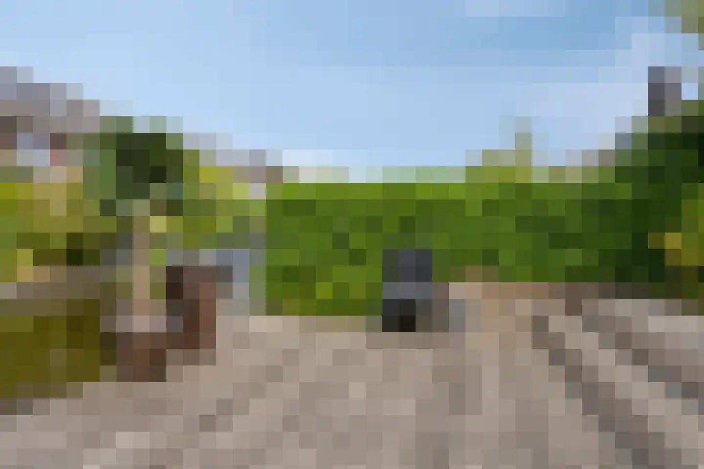 Mierikswortel 28 Roelofarendsveen thumbnail 34