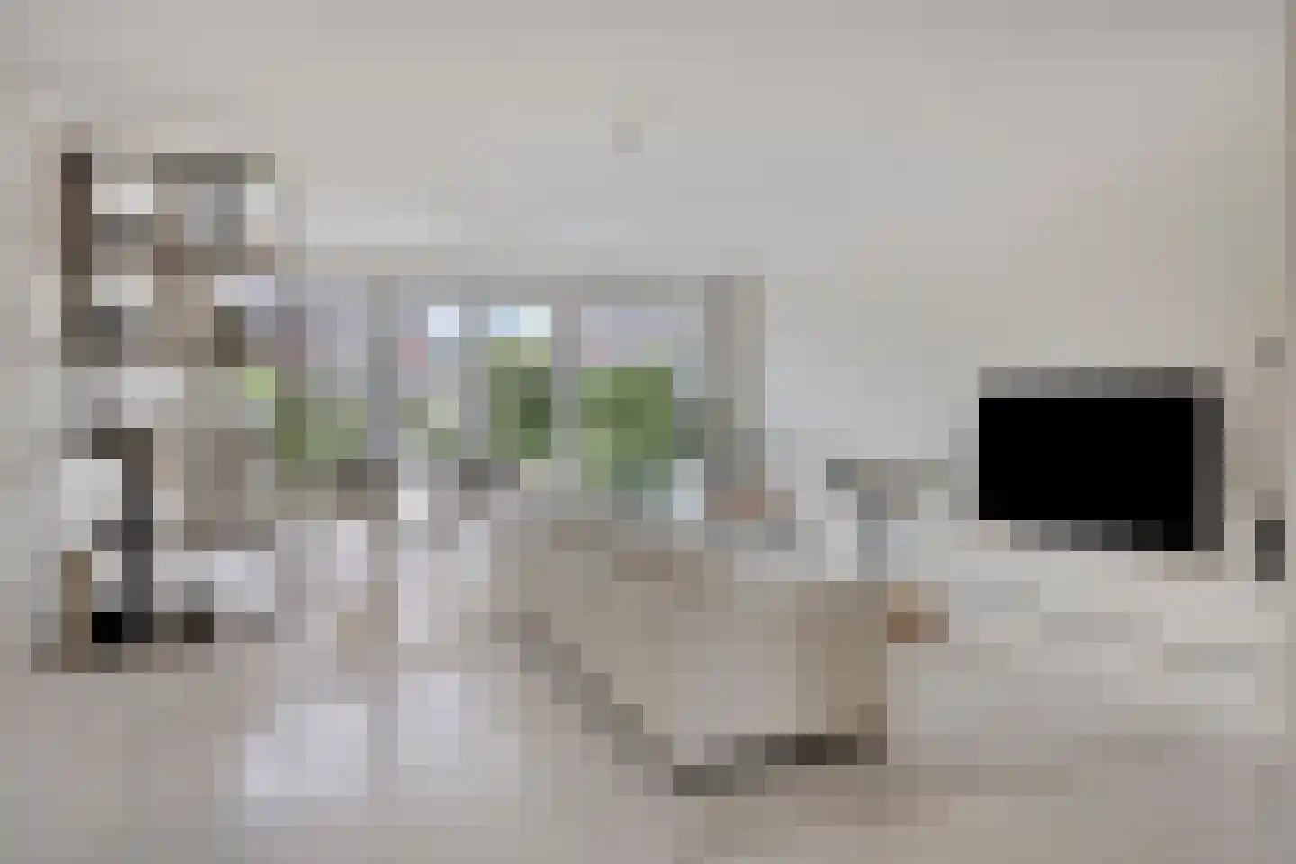 Mierikswortel 28 Roelofarendsveen thumbnail 4