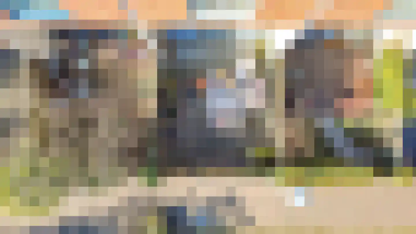Mierikswortelstraat 60 Utrecht thumbnail 26