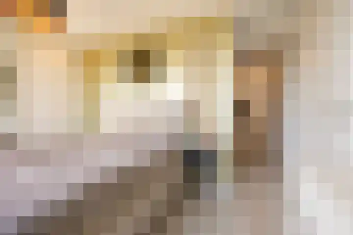 Mierikswortelstraat 64 Utrecht thumbnail 18
