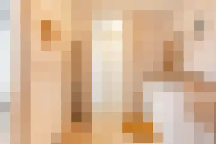 Mierikswortelstraat 64 Utrecht thumbnail 22