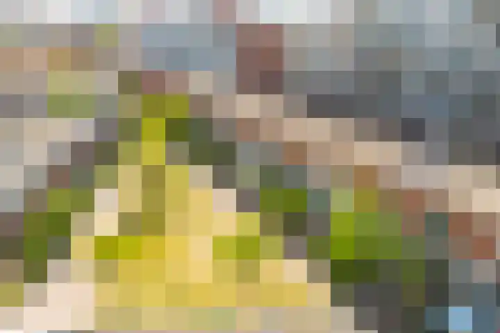 Mierikswortelstraat 64 Utrecht thumbnail 27