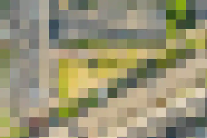 Mierikswortelstraat 64 Utrecht thumbnail 30