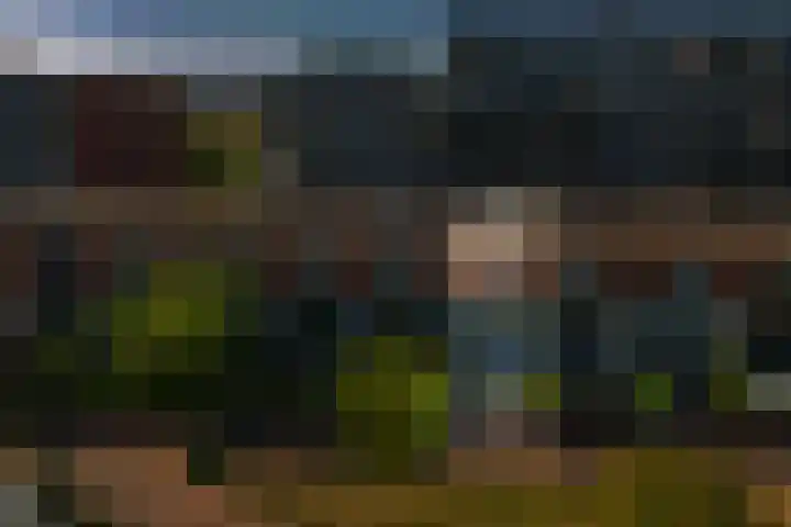 Mierikswortelstraat 64 Utrecht thumbnail 31
