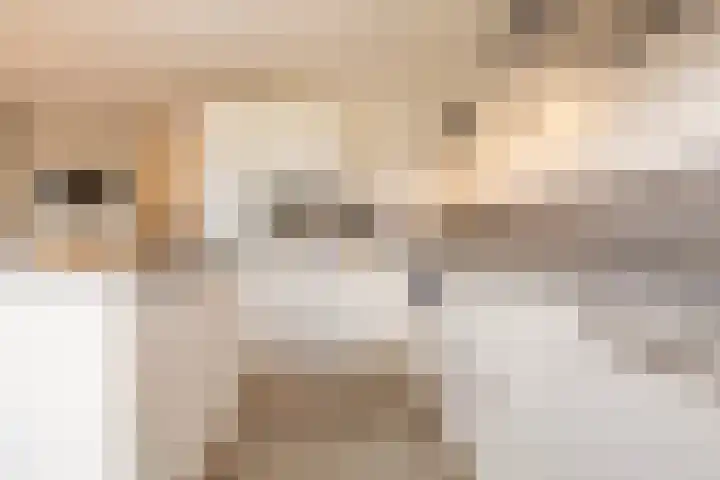 Mierikswortelstraat 64 Utrecht thumbnail 5
