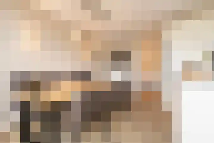 Mierikswortelstraat 64 Utrecht thumbnail 6