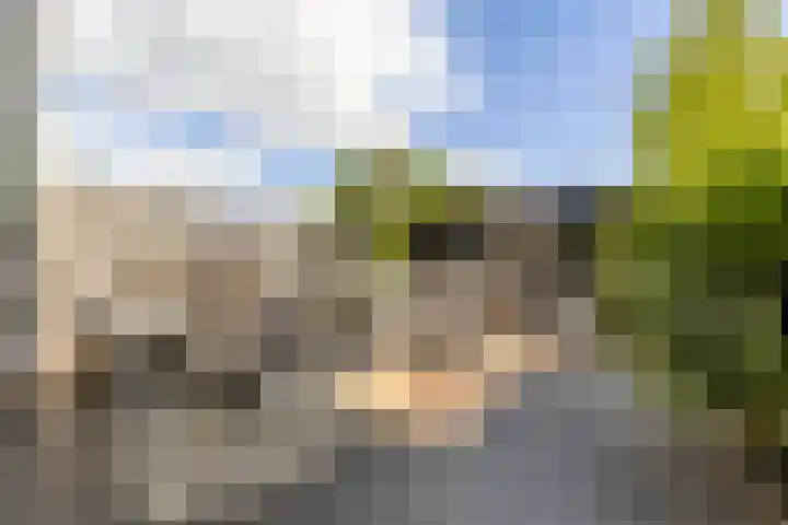 Mierikswortelstraat 64 Utrecht thumbnail 8