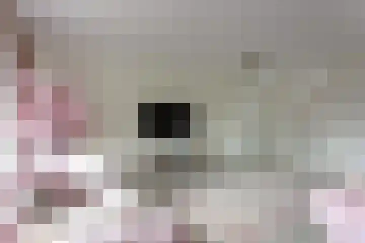 Mierikswortelstraat 74 Utrecht thumbnail 18