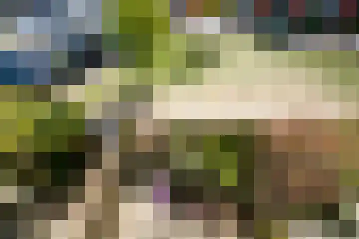 Mierikswortelstraat 74 Utrecht thumbnail 27