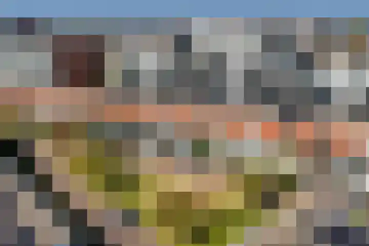 Mierikswortelstraat 74 Utrecht thumbnail 32