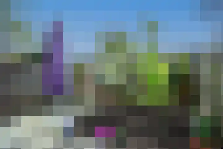 Mierikswortelstraat 74 Utrecht thumbnail 5
