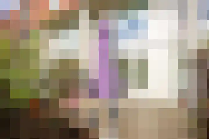 Mierikswortelstraat 74 Utrecht thumbnail 6