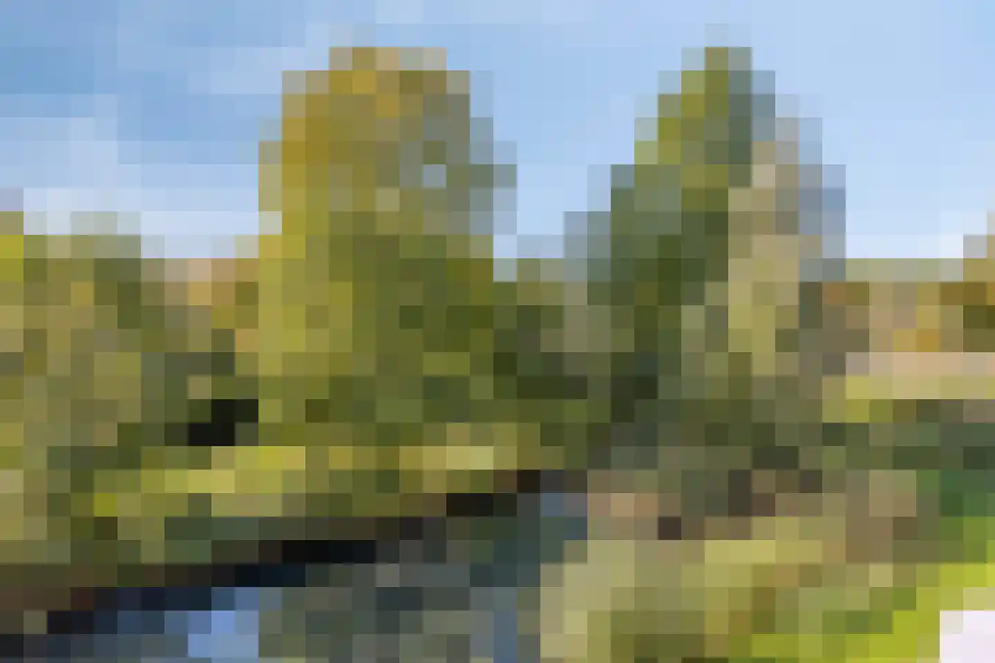 Mierloseweg 120 B Helmond thumbnail 30