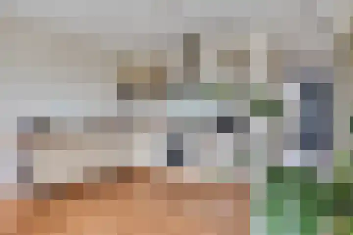 Mierloseweg 122 H Helmond thumbnail 12
