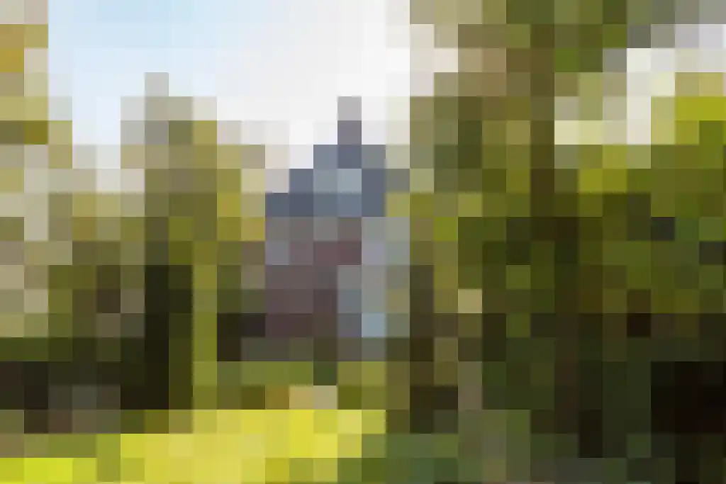 Mierloseweg 128 Helmond thumbnail 31