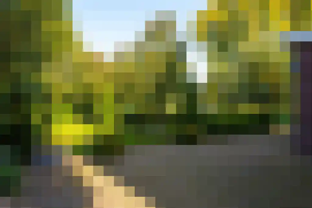 Mierloseweg 128 Helmond thumbnail 33