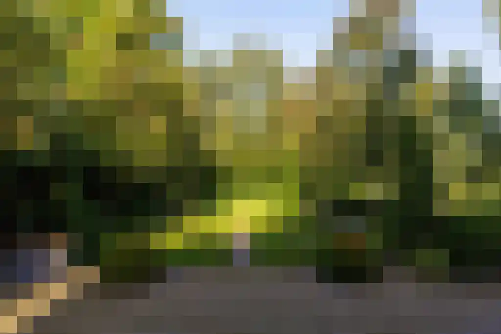 Mierloseweg 128 Helmond thumbnail 34