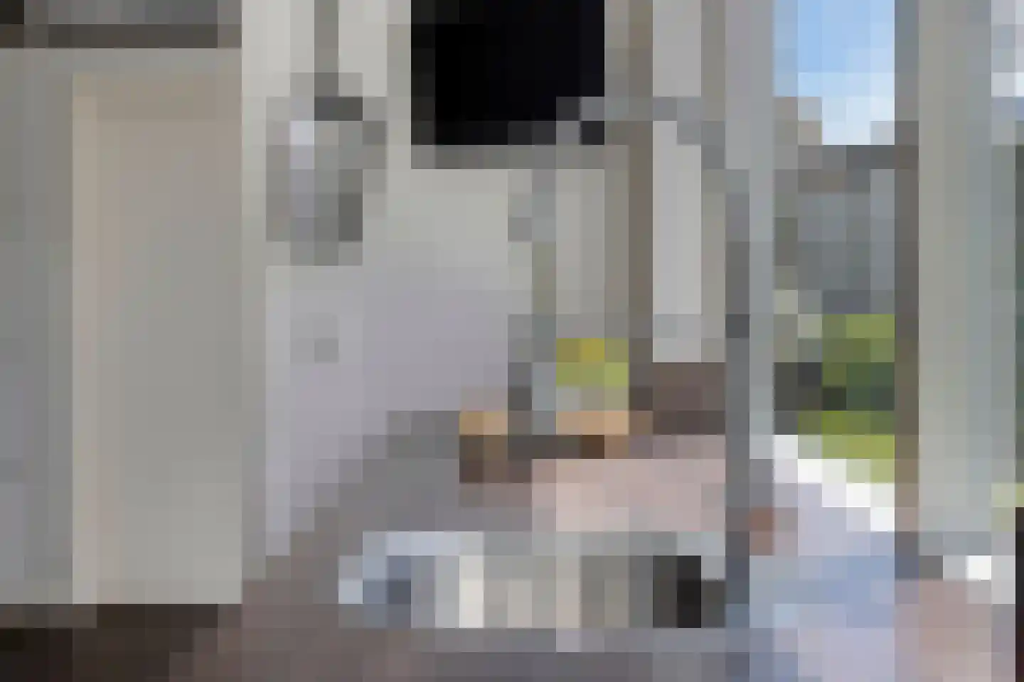 Mierloseweg 137 Helmond thumbnail 27