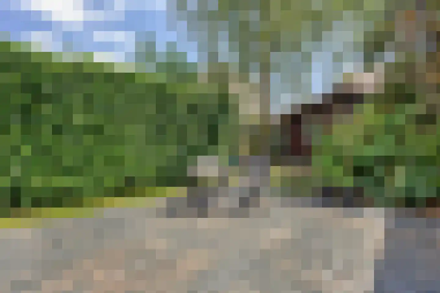 Mierloseweg 137 Helmond thumbnail 51