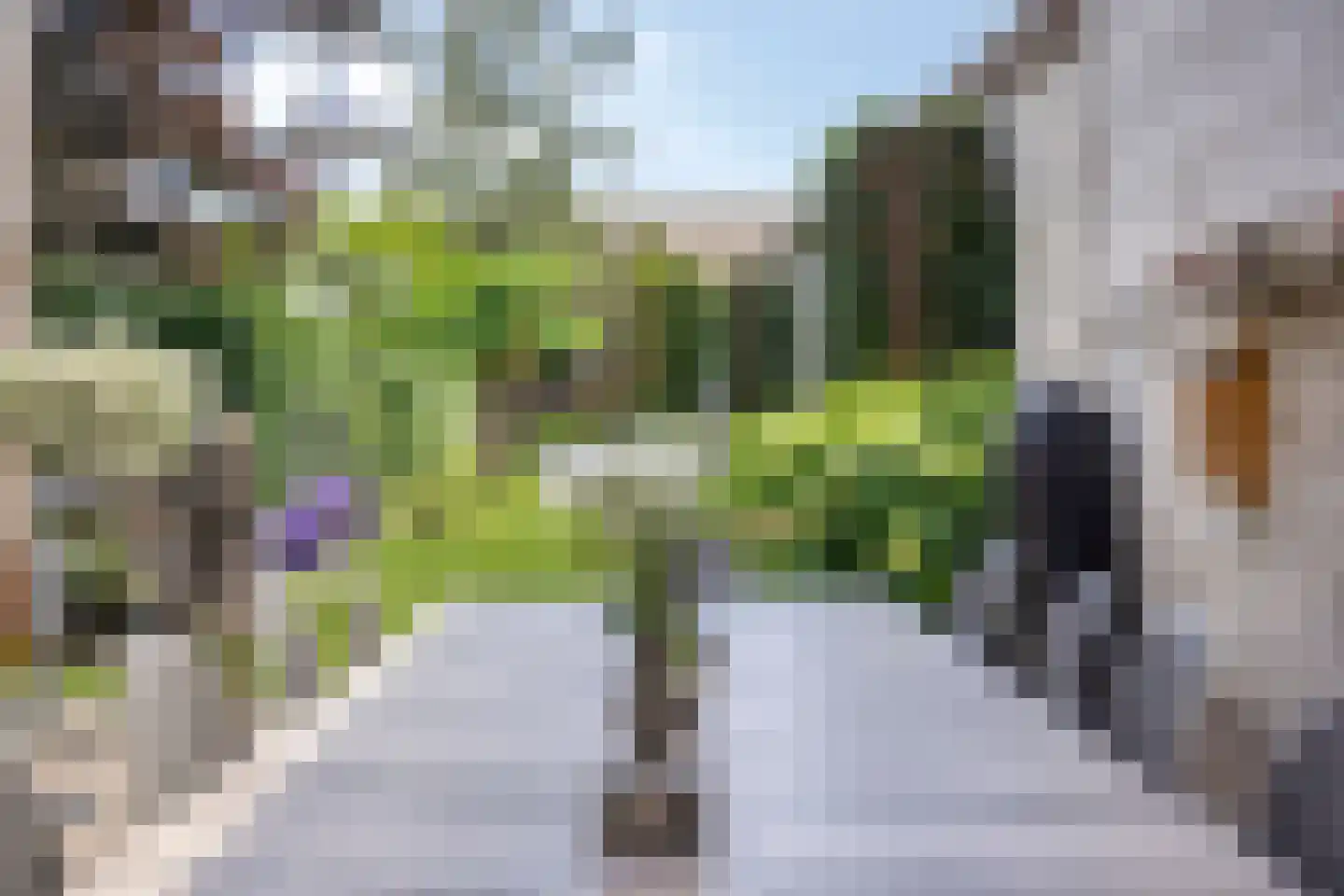 Mierloseweg 137 Helmond thumbnail 7