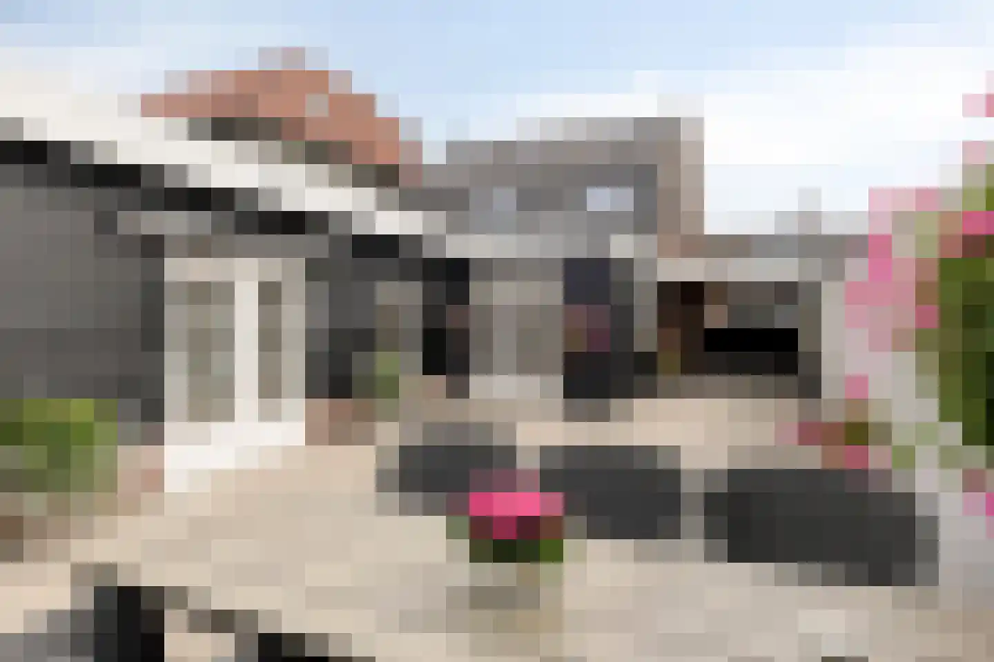 Mierloseweg 202 Helmond thumbnail 34