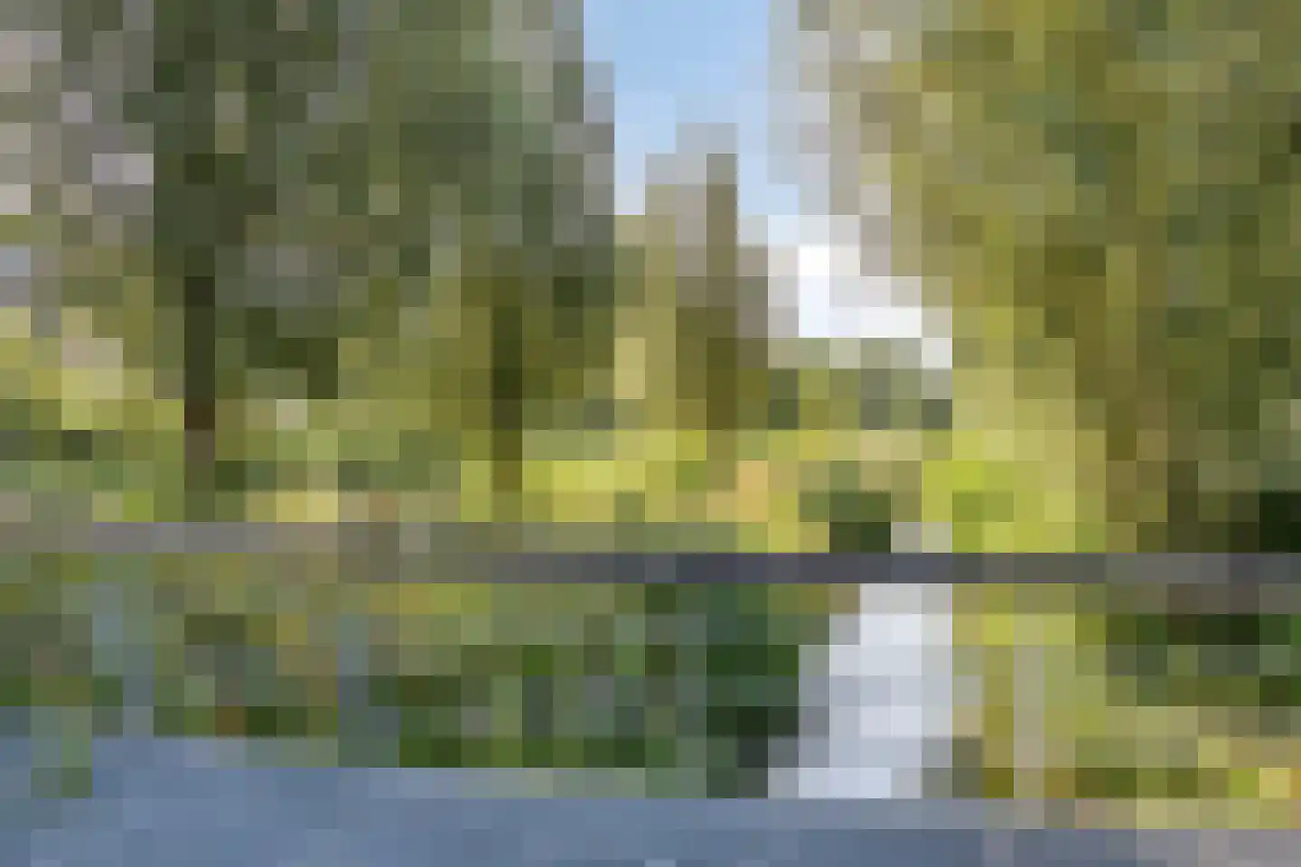 Mierloseweg 209 Helmond thumbnail 29