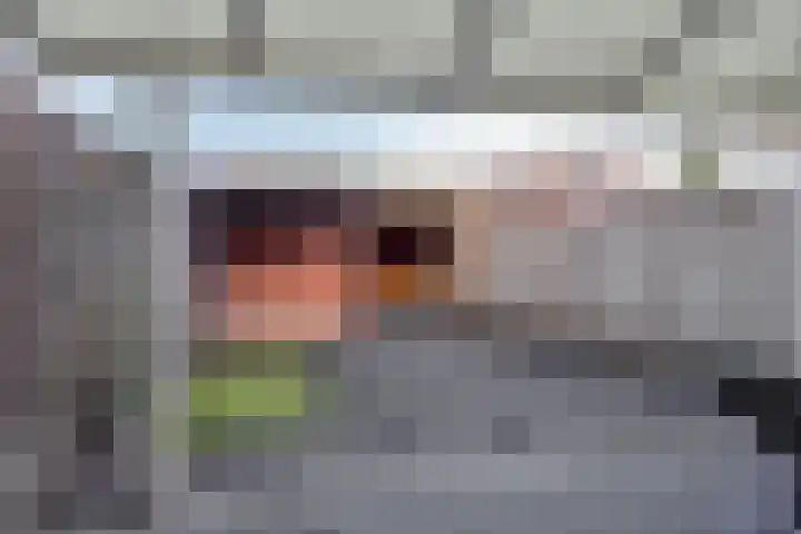 Mierloseweg 257 Helmond thumbnail 29