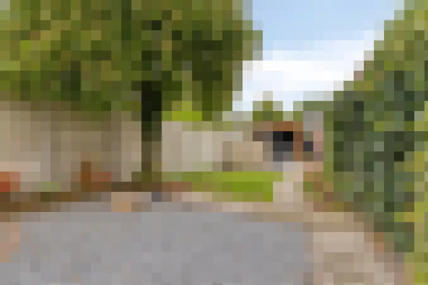 Mierloseweg 291 Helmond thumbnail 23
