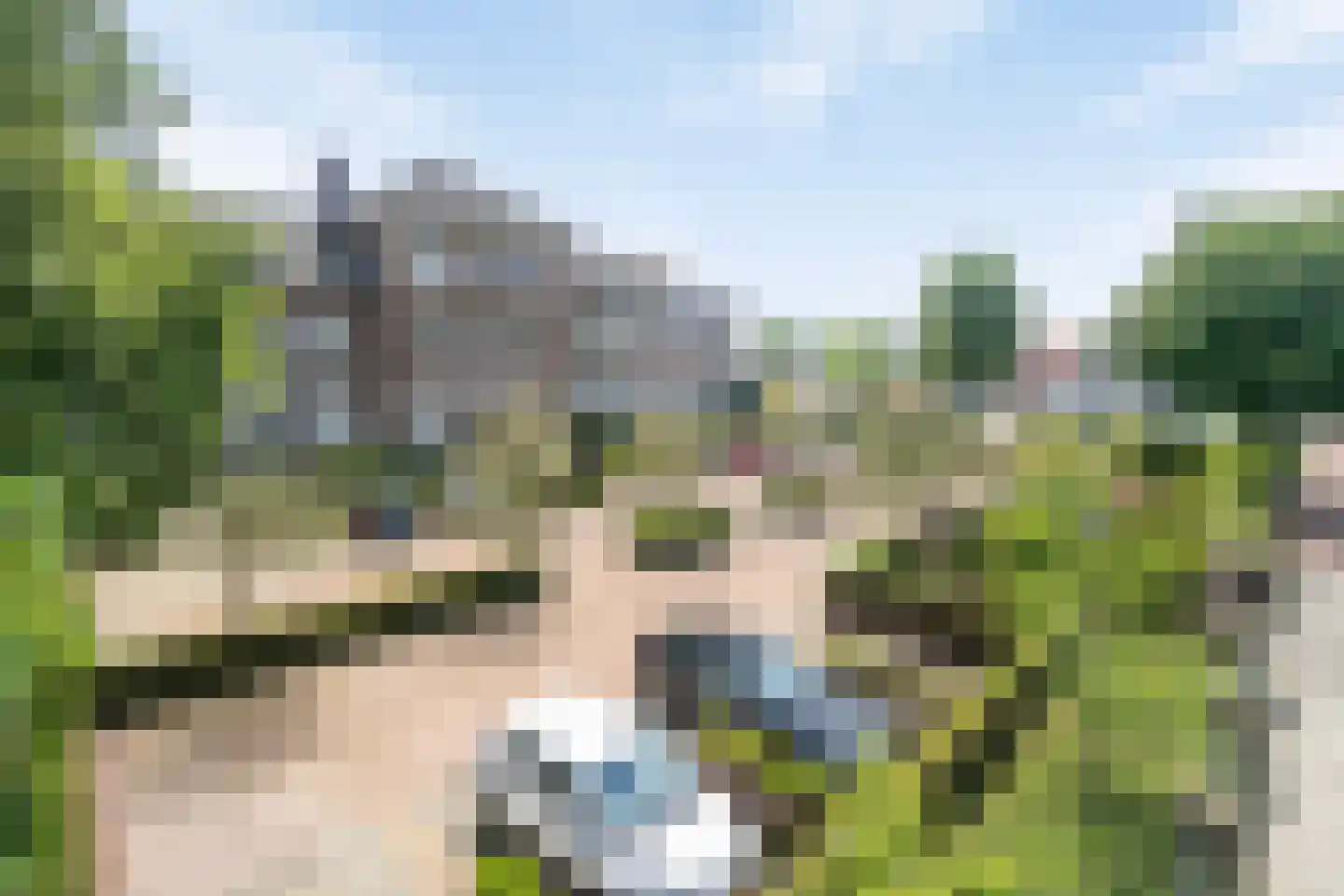 Mierloseweg 5 D Helmond thumbnail 6