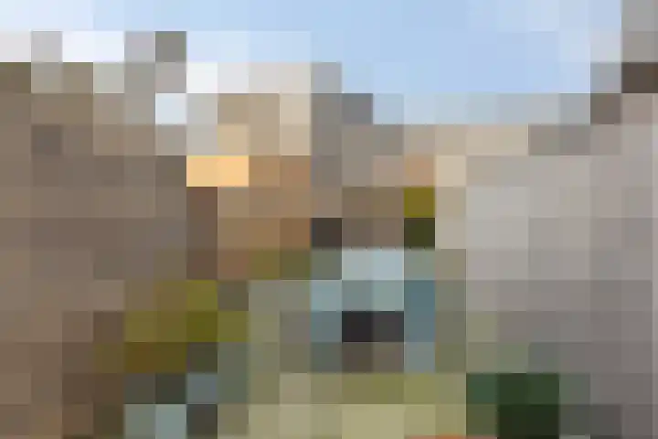 Mierloseweg 86 D Helmond thumbnail 32