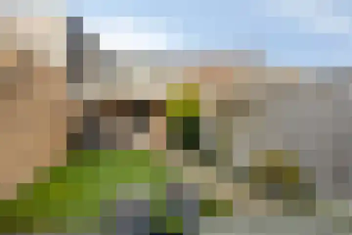 Mierloseweg 86 D Helmond thumbnail 33