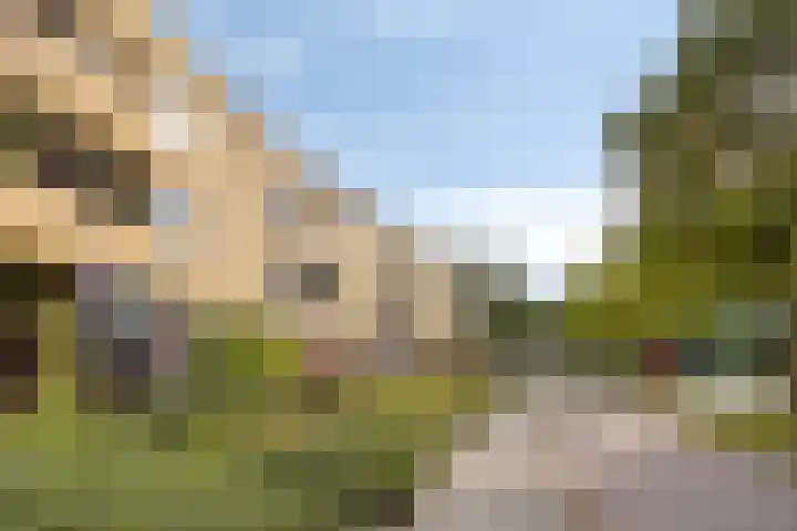 Mies Ruthplaats 22 Leiden thumbnail 33