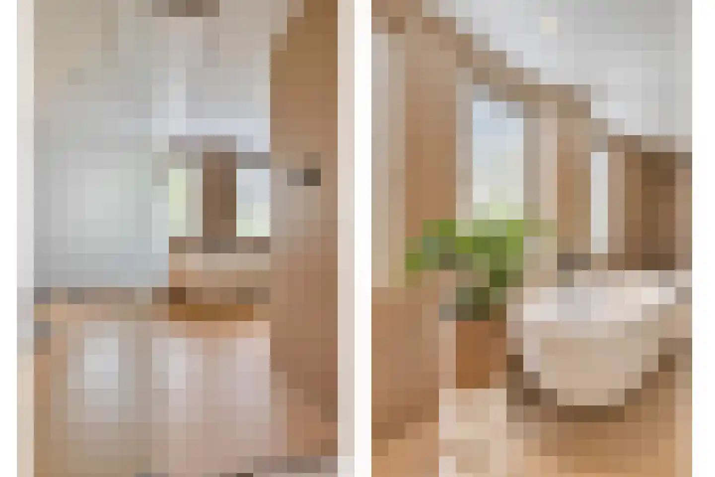 Mies van der Rohestraat 16 Landgraaf thumbnail 20