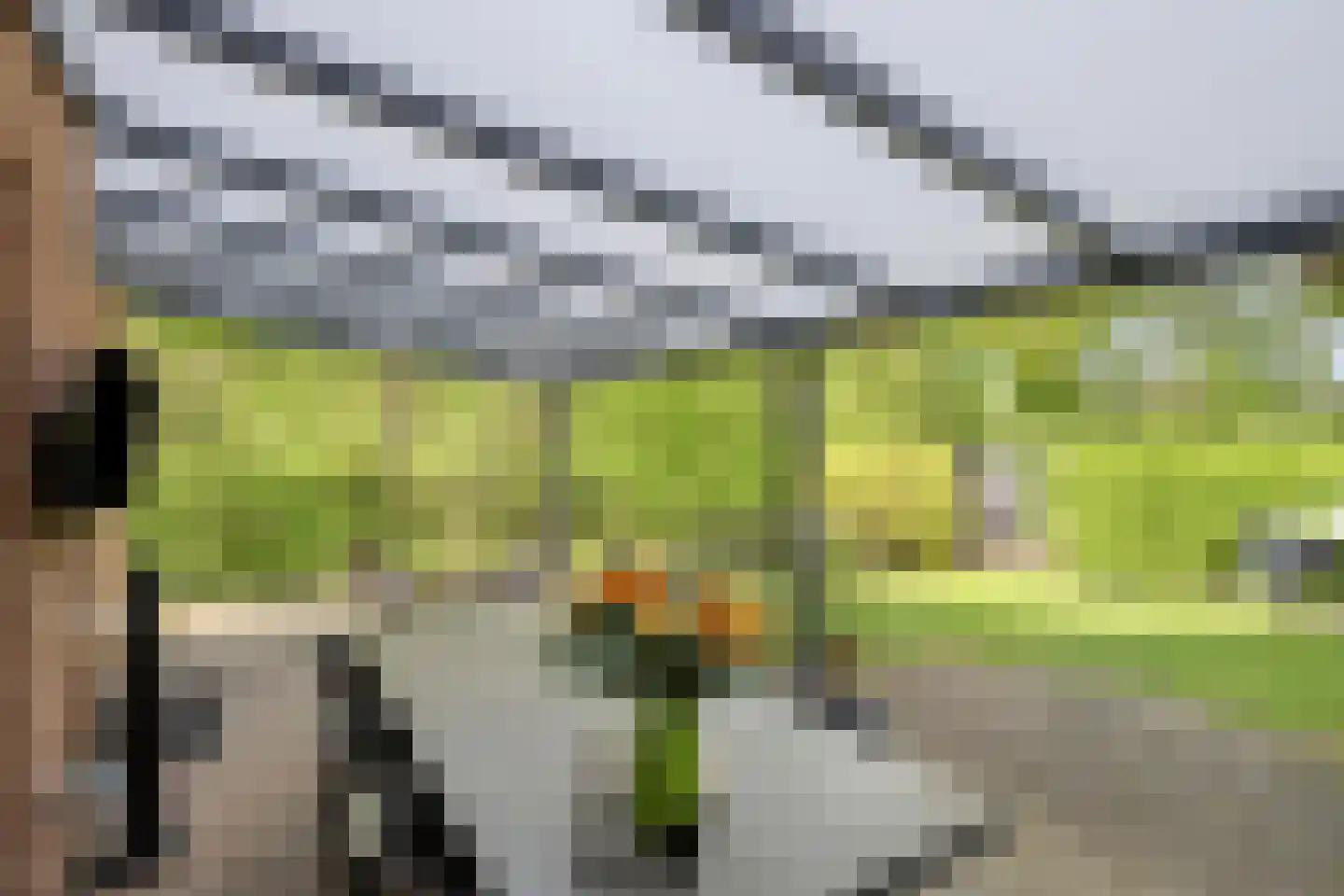 Mies van der Rohestraat 16 Landgraaf thumbnail 39