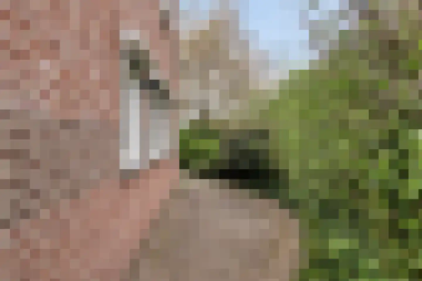 Mies van der Rohestraat 16 Landgraaf thumbnail 44