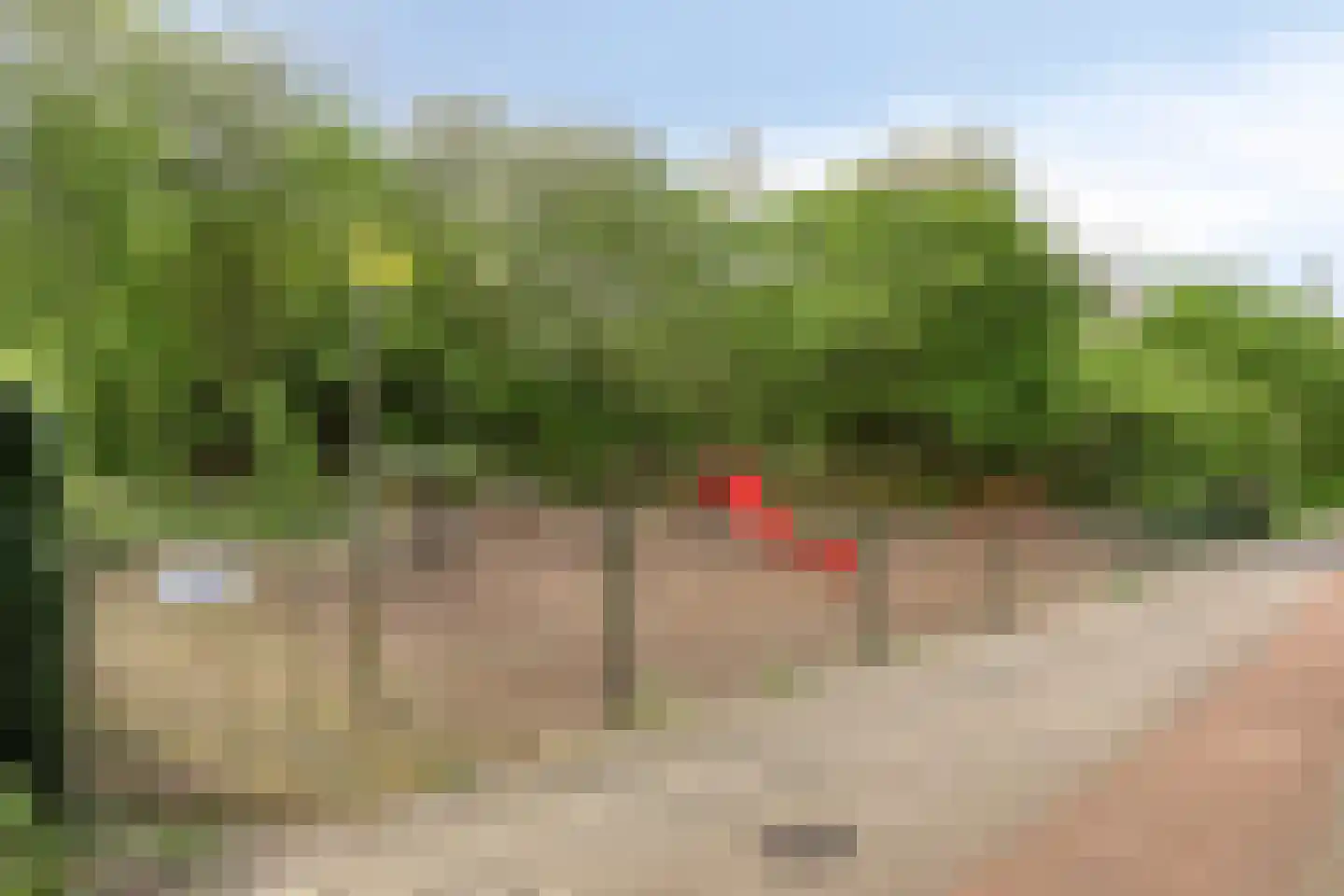 Mies van der Rohestraat 16 Landgraaf thumbnail 47