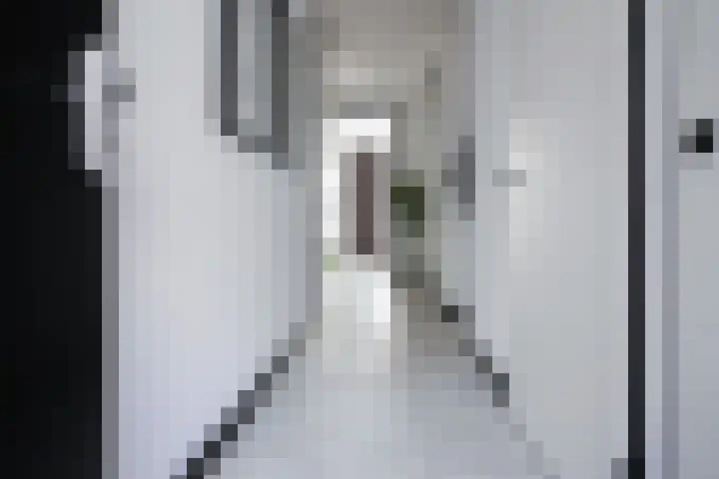 Mies van der Rohestraat 19 Hoofddorp thumbnail 7