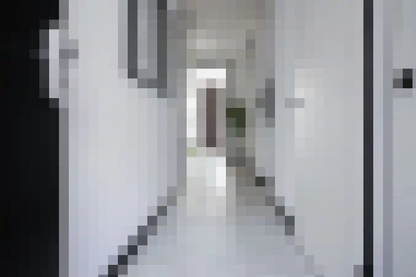 Mies van der Rohestraat 19 Hoofddorp thumbnail 7
